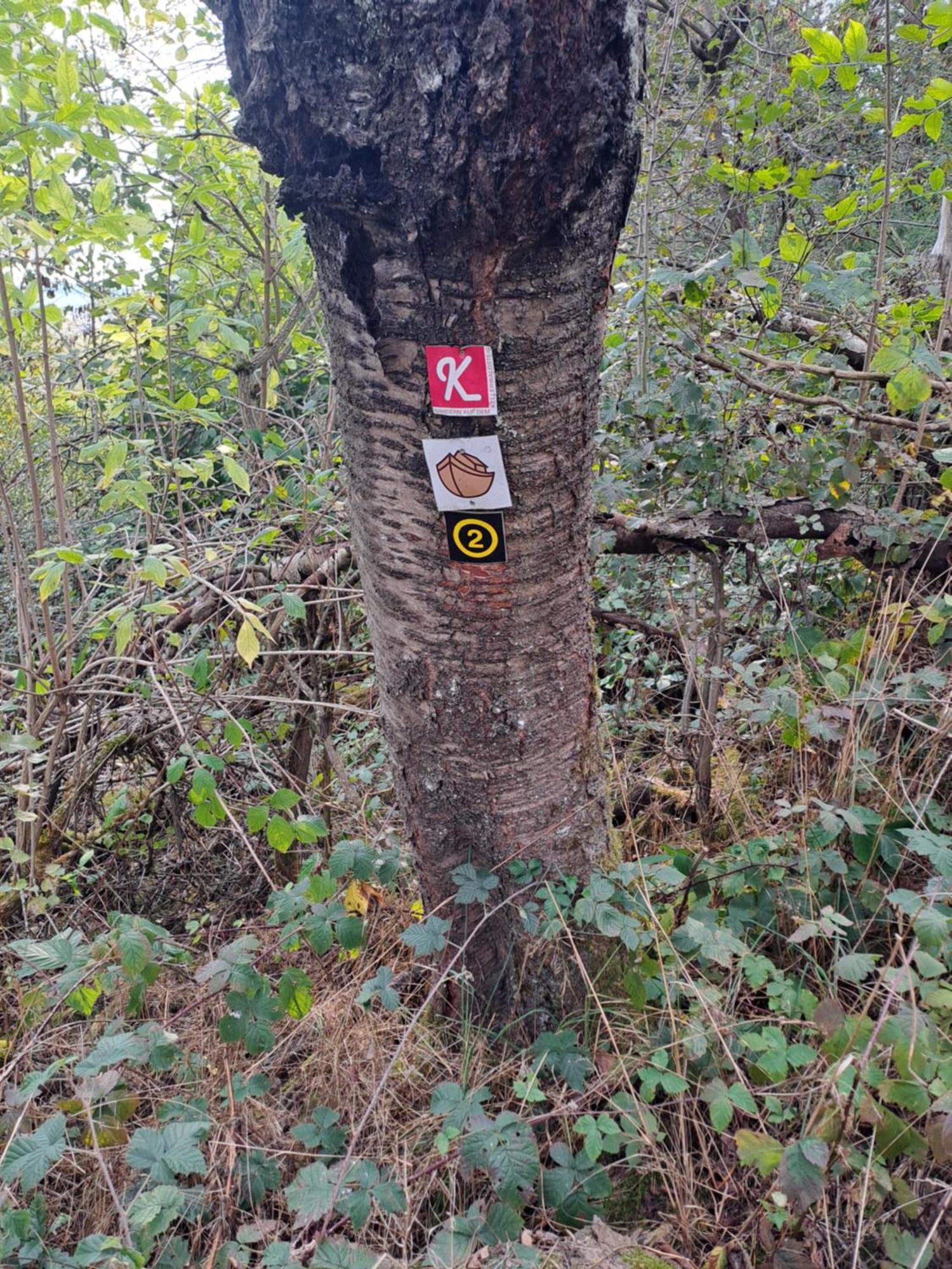 Ferienwohnung Schaefer Am Nationalpark Kellerwald Франкенау Екстер'єр фото