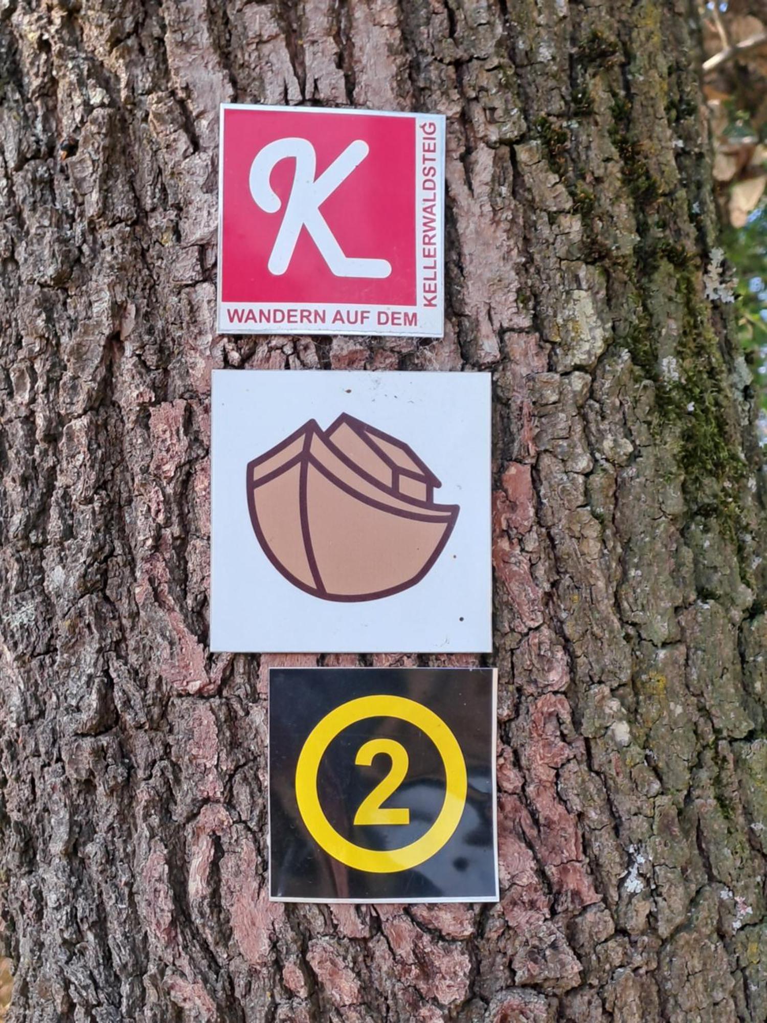 Ferienwohnung Schaefer Am Nationalpark Kellerwald Франкенау Екстер'єр фото